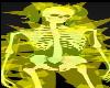 Raver Skeleton Halloween Costumes SONG Funny Rainbows