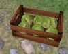 (S)Cabbage in a crate