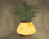 [DB]Yellow Potted Plant