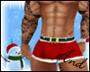 A~ Santa Sexy Boxers 