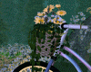 Spring Kiss Bike