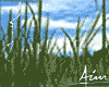 Grass Animated