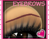 !T! Brows~Maple