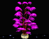 Romantic Purple  Plant_Z