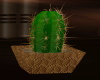 [CI]Cactus Plant 2