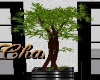 Cha`R/Acres Potted Tree