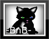 -BnB- green/blue eye Cat