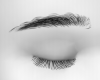 black eyebrows