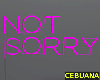 Not Sorry Neon Lights