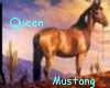 Queen Mustang