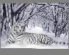 Snow Tiger 3D Wall