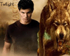 Wolf Twilight Saga JACOB