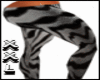 |TDF|TIGER! GRAY!