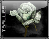 money rose sticker