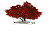 arbre