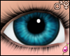 ɱ Marinette Eyes