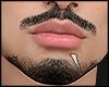 s. Asteri Beard FIli