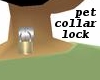pet collar lock