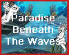 Paradise Beneath The Sea
