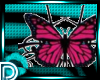 [D]Butterfly1