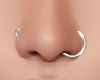 Nose Piercings silver