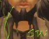 SW~ Pirate Beard Earth