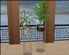 ☺S☺ New/Plant