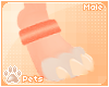 [Pets] Kinx |ankle bands