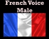 French Voice Male Family