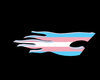 Transgender Flame C