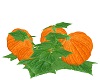 AK Realistic Pumpkins