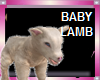BABY LAMB ANIMATED