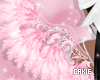 Angel Valentine Wings