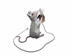 C- Mouse Light  L.