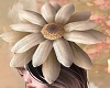 blooming hat daisywhite