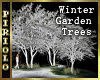 Winter Garden Trees