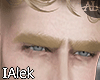ᴀ| Eyebrows Blonde