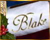 I~Stocking*Blake