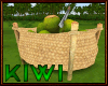 Coconut basket