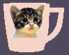 kitten coffee mug