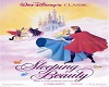 Sleeping Beauty Poster