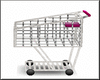 Shopping W/ Kiddos Cart