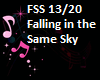 FALLING FOR THE SKY