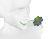 Liquid Clover