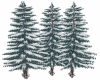 Pine Snow tree