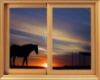 CC-Horse Sunset Window