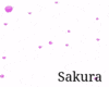 K✝Falling Sakura-Anim