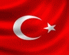 Türkiye Flag
