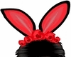 Red Rose Bunny Ears