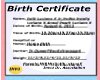 Birth Certificate 4